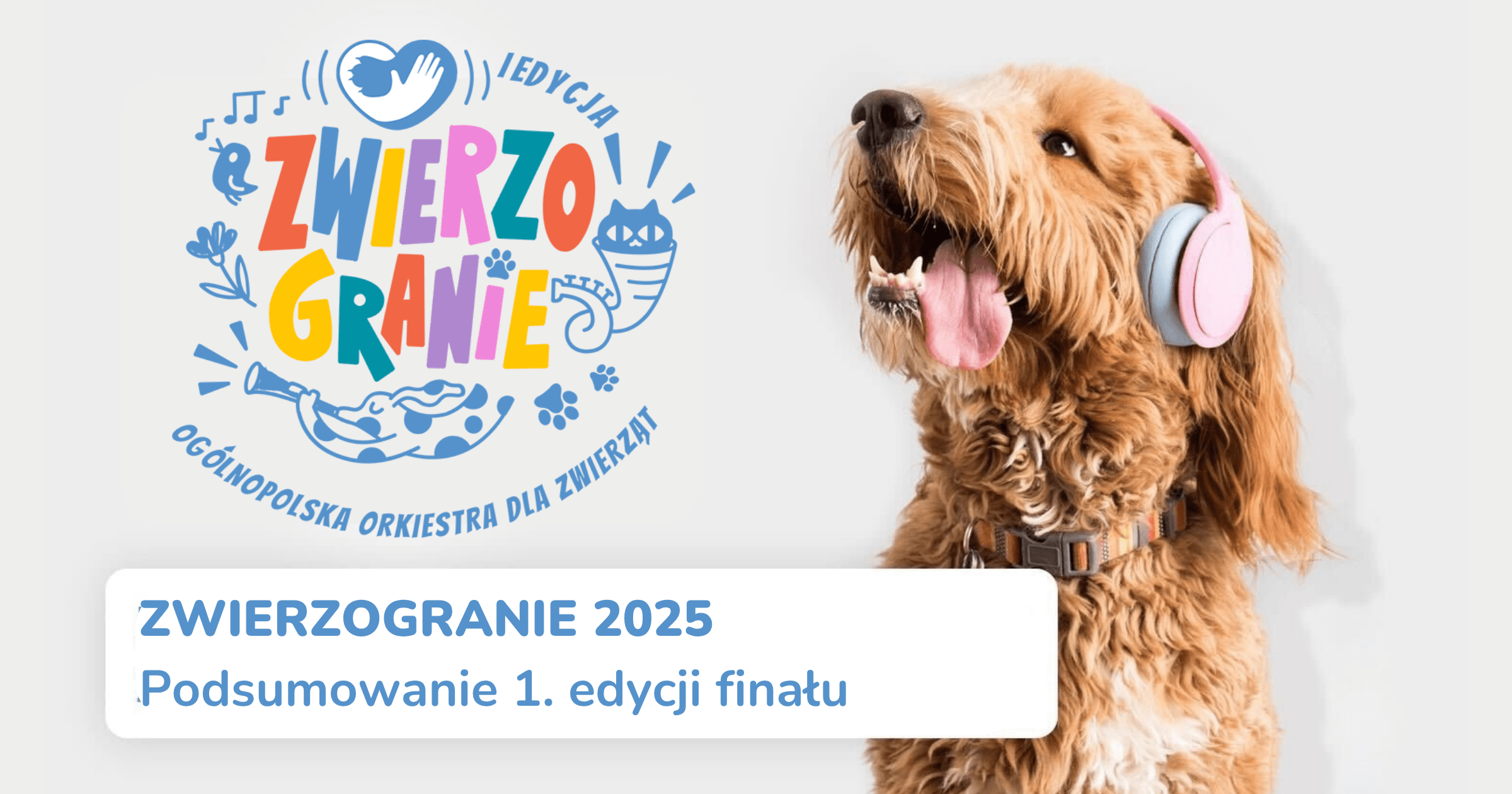 ZWIERZOGRANIE 2025 – podsumowanie 1. edycji orkiestry dla zwierząt